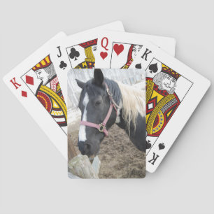 Paint Pinto Horse Playing Cards
