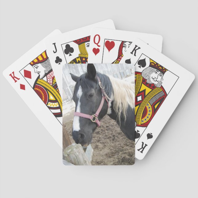 Paint Pinto Horse Playing Cards (Back)