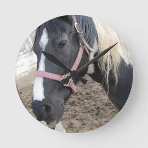 Paint Pinto Horse Round Clock