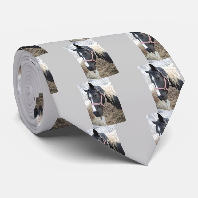 Paint Pinto Horse Tie (Rolled)