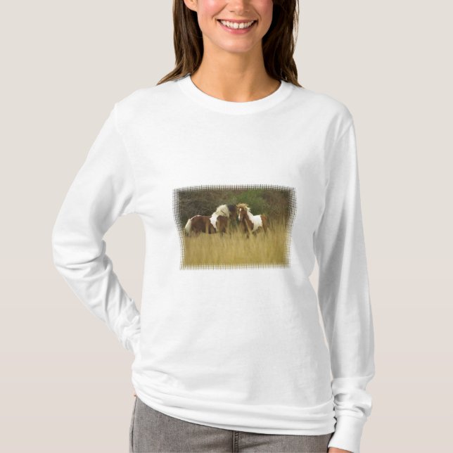 Paint Ponies in Field Long Sleeve Shirt (Front)