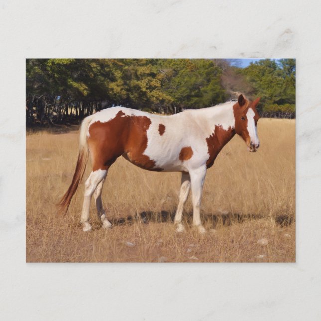 Paint Postcard (Front)