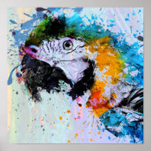 Paint Splash Parrot | Poster Print