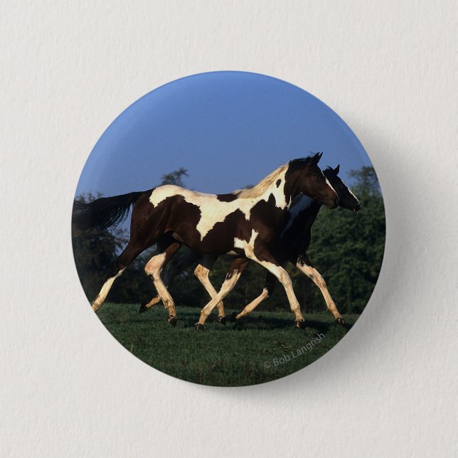 Paint Yearlings Running 6 Cm Round Badge (Front)