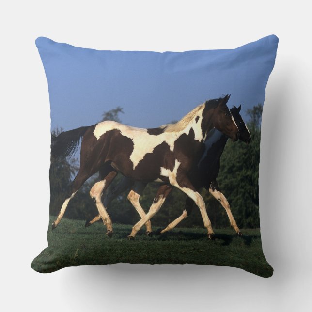 Paint Yearlings Running Cushion (Front)