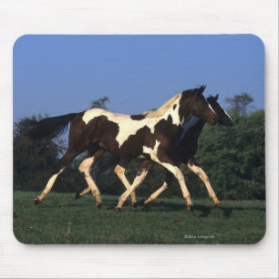 Paint Yearlings Running Mouse Pad