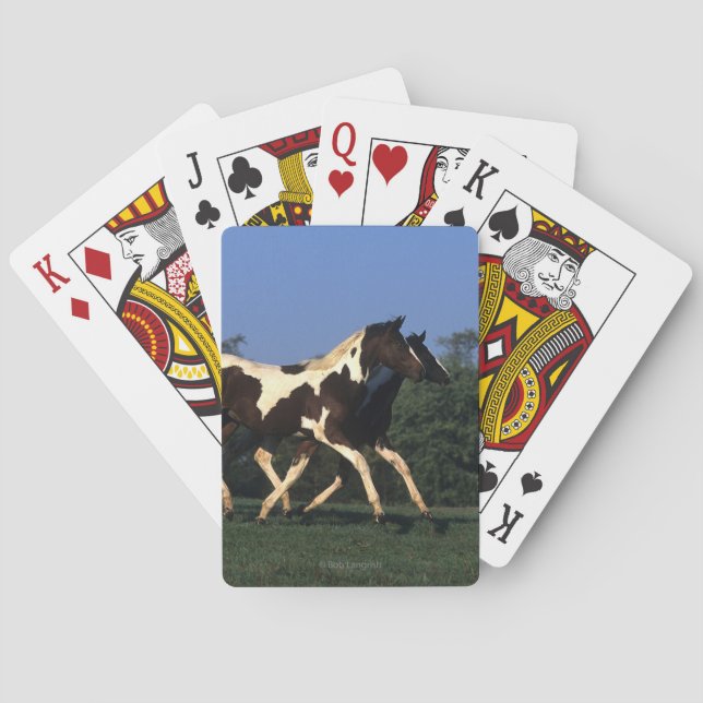 Paint Yearlings Running Playing Cards (Back)