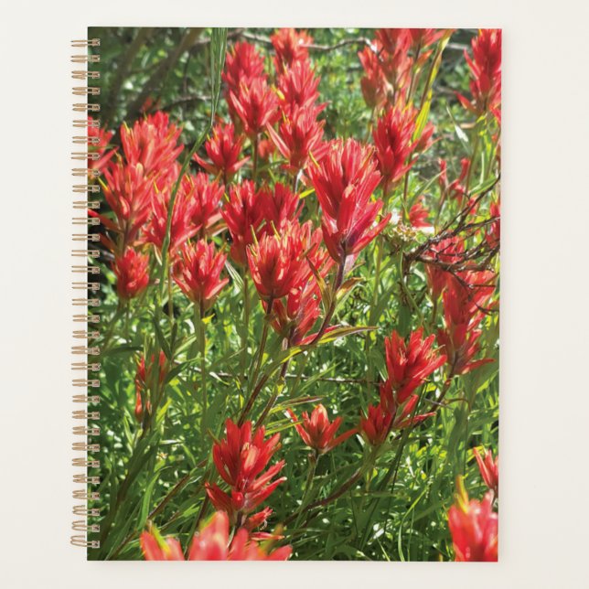 Paintbrush Planner (Front)