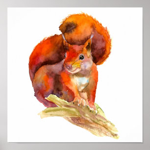Painted Alert Red Squirrel On A Branch Rustic Poster