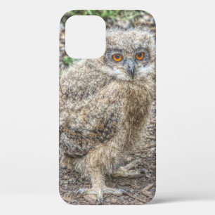 painted baby owl iPhone 12 case