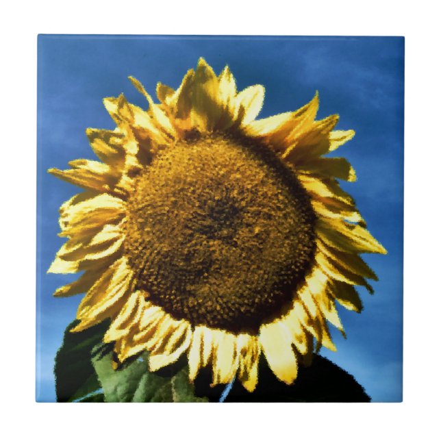 painted big yellow sunflower against a blue sky ceramic tile (Front)