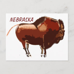 painted bison Nebraska postcard
