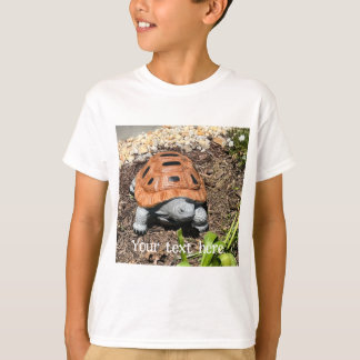 Painted box turtle, in garden, custom tshirts