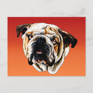Painted Bulldog Face Postcard