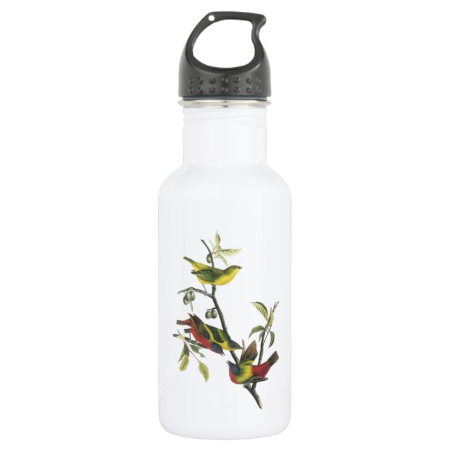 Painted Bunting by Audubon 532 Ml Water Bottle (Front)