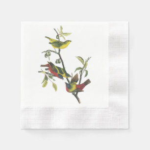 Painted Bunting by Audubon Napkin