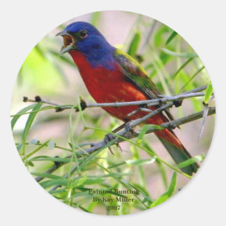 Painted Bunting By Kay Mil... Classic Round Sticker