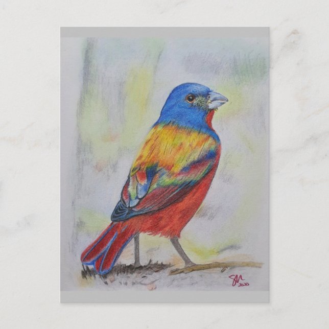 Painted Bunting card (Front)