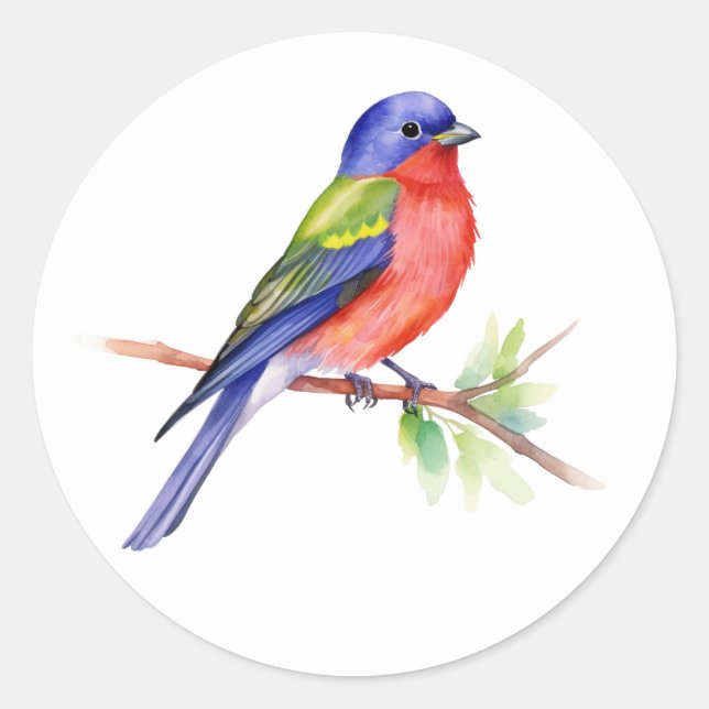  Painted Bunting Classic Round Sticker (Front)