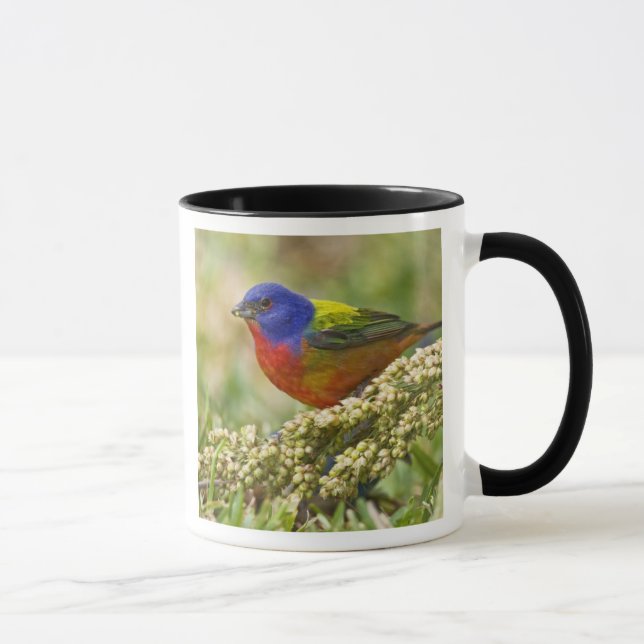 Painted Bunting Mug (Right)