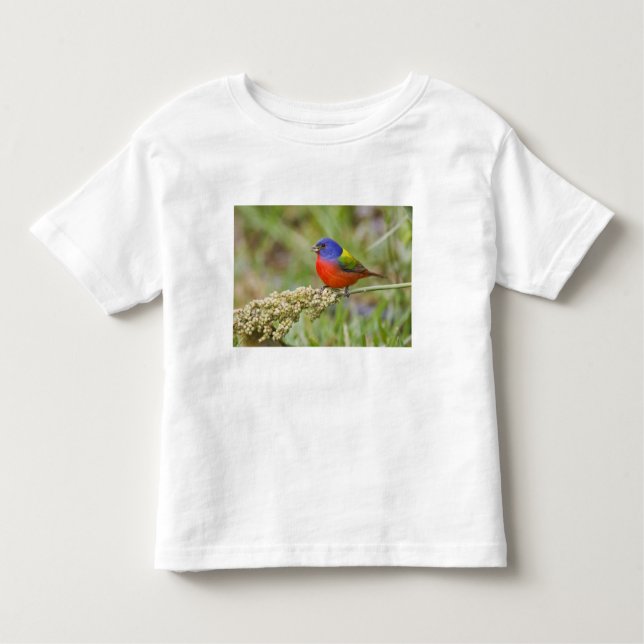 Painted Bunting (Passerian ciris) male feeding Toddler T-Shirt (Front)