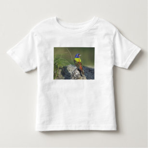 Painted Bunting, Passerina ciris, male , Toddler T-Shirt