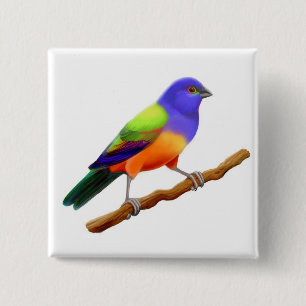 Painted Bunting PIn