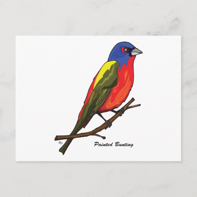 PAINTED BUNTING POSTCARD (Front)