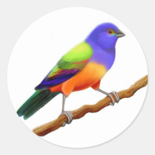 Painted Bunting Sticker