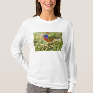 Painted Bunting T-Shirt