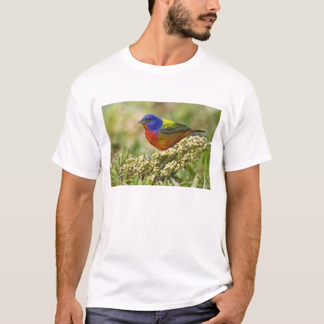 Painted Bunting T-Shirt (Front)