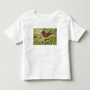 Painted Bunting Toddler T-Shirt
