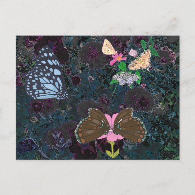 Painted Butterflies Abstract Flowers Postcards (Front)