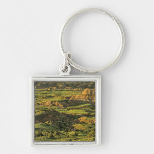 Painted Canyon After Storm in Theodore Roosevelt Key Ring