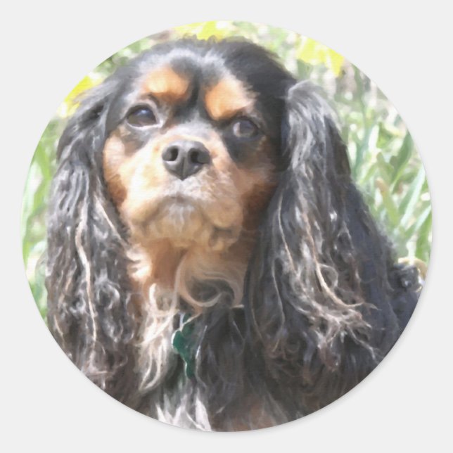 Painted Cavalier King Charles Spaniel Classic Round Sticker (Front)