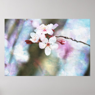 Painted Cherry Blossom Poster