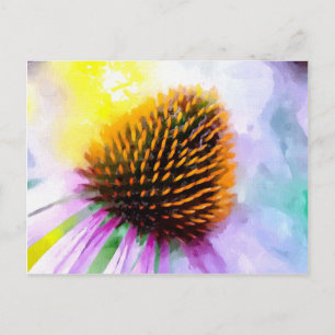 Painted Coneflower Horizontal Postcard