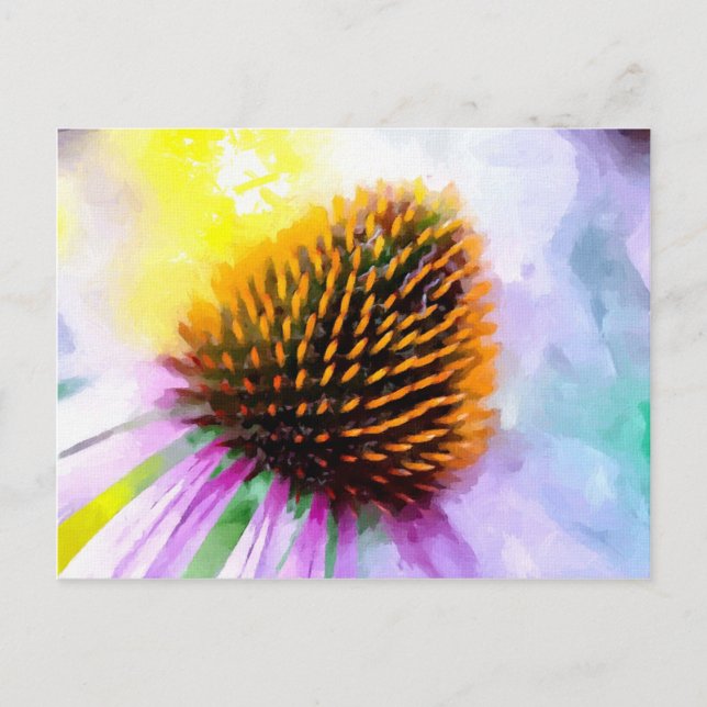 Painted Coneflower Horizontal Postcard (Front)