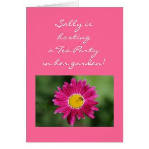 Painted Daisy Cards and more
