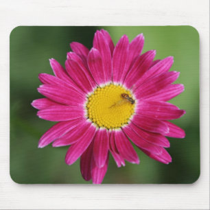 Painted Daisy Cards and more Mouse Pad