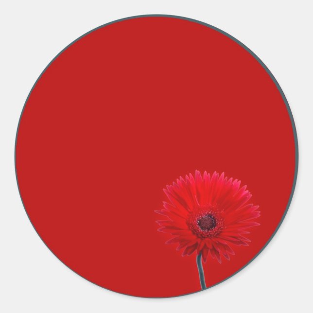 Painted Daisy Classic Round Sticker (Front)