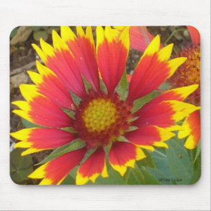 Painted Daisy Mousepad