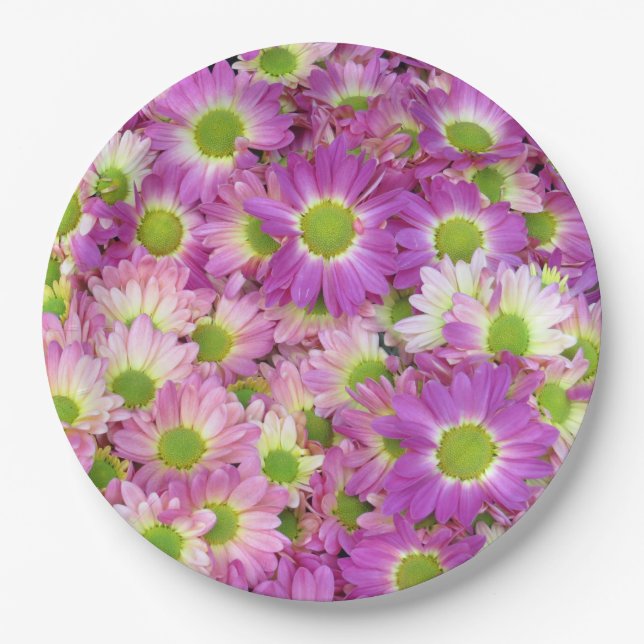 Painted Daisy Paper Plate (Front)