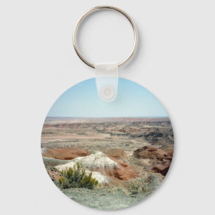 Painted Desert scene 08 Key Ring