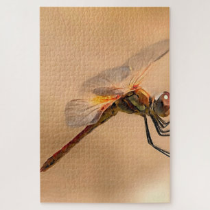 Painted Dragonfly Isolated Against Ecru Jigsaw Puzzle