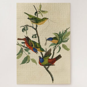 Painted Finch (Bunting) Audubon's Birds of America Jigsaw Puzzle