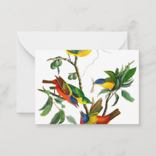 Painted Finch by John James Audubon Card