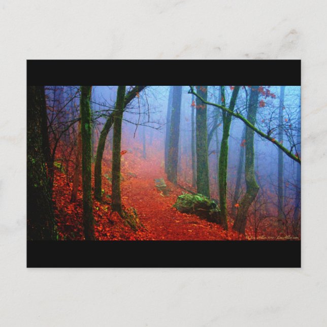 Painted Forest Autumn Blue Fog Postcard (Front)