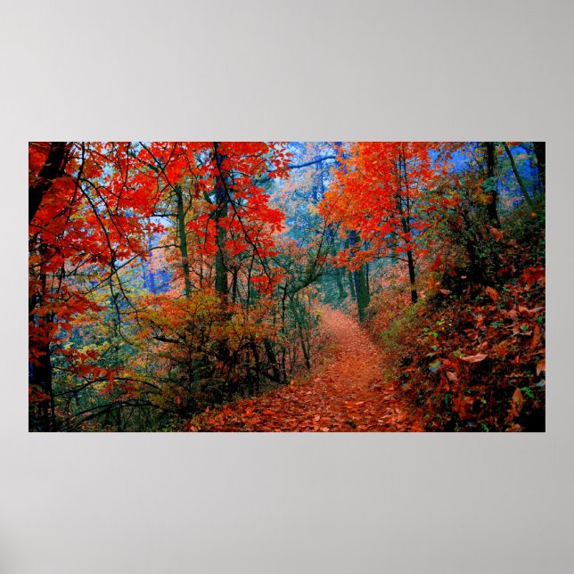 Painted Forest Autumn Flame Painted Photography Poster (Front)