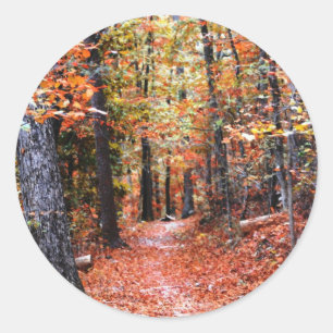 Painted Forest Autumn Trail Watercolor Gifts Classic Round Sticker